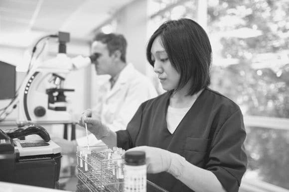 Setting Up a Pre-Employment Drug Testing Policy