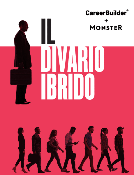 Il Divario Ibrido ebook