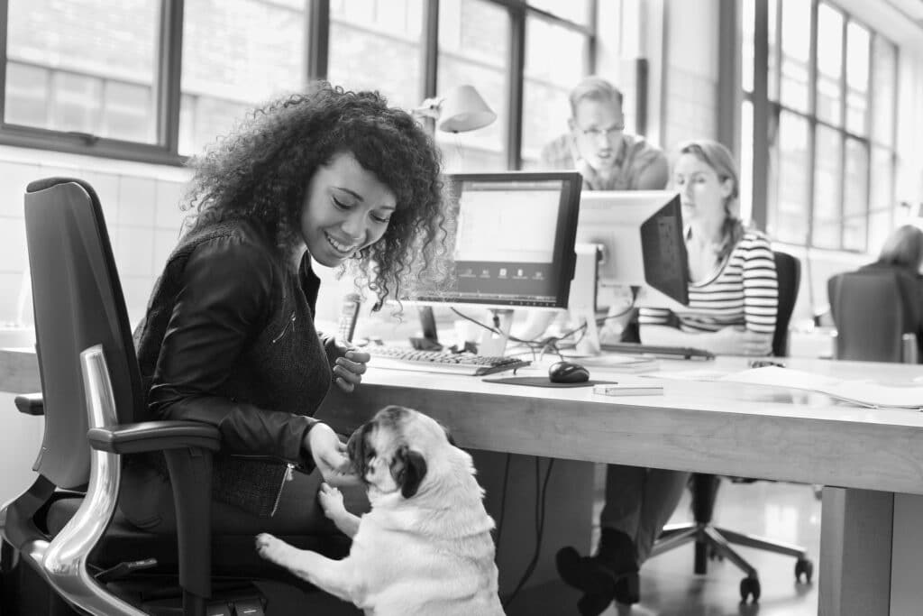 Frau im Büro spielt mit einem Mops.